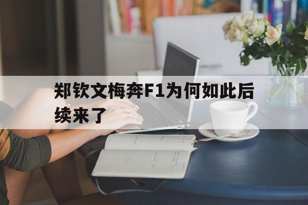 郑钦文梅奔F1为何如此后续来了的简单介绍